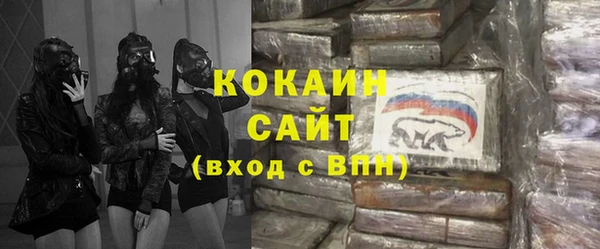 шишки Абаза