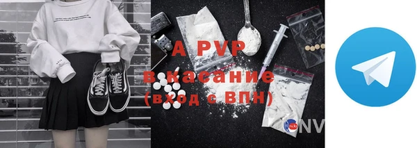 стаф Алексин