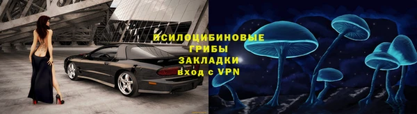 стаф Алексин