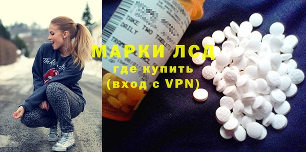 стаф Алексин