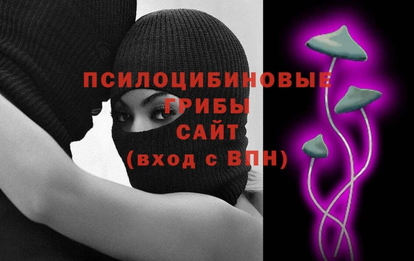индика Гусев