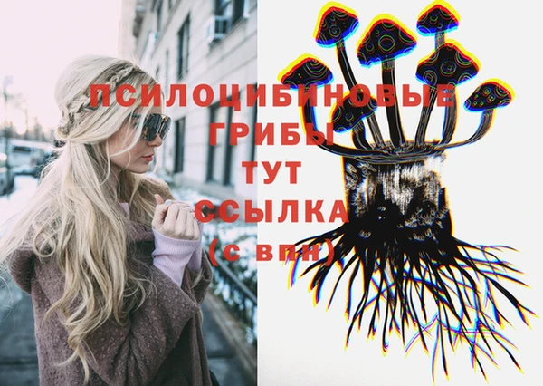 стаф Алексин