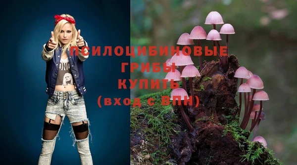 стаф Алексин
