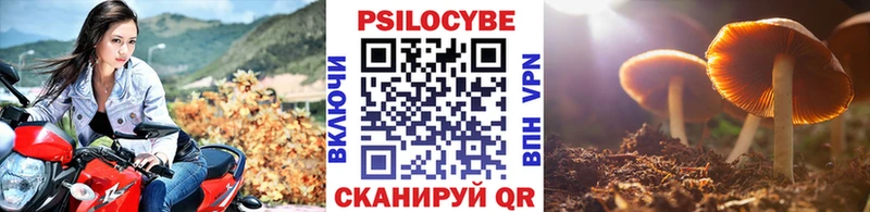 Галлюциногенные грибы GOLDEN TEACHER  Томилино 